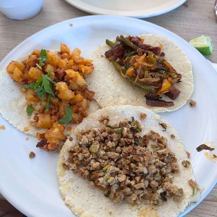 photo of El Sabor de Anita Tacos Papas con Chorizo shared by @vegancum on  02 Oct 2024 - review