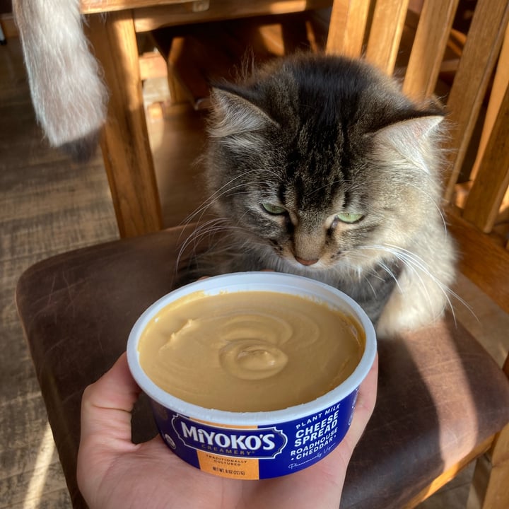 photo of Miyoko's Creamery Roadhouse Cheddar Spread shared by @lansterm on  16 Jan 2024 - review