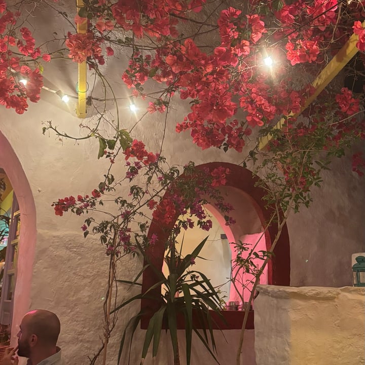photo of Katogi taverna dolma shared by @shadiamatz on  30 May 2025 - review