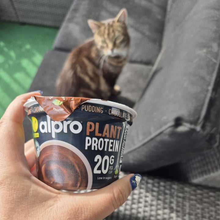 photo of Alpro plant protein chocolate flavour pudding shared by @enkelvegan on  07 Oct 2025 - review