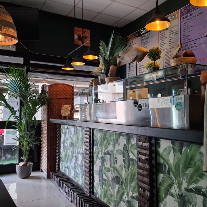 photo of Koloa Poke Poke Waikiki: Vegetariano (Plato N°6) shared by @danielgl on  11 Apr 2025 - review
