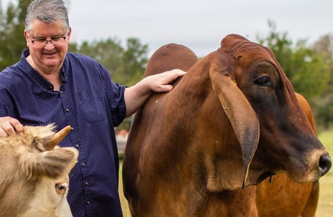 From Meat Lover to Plant-Based CEO: The All Y’alls Foods Story