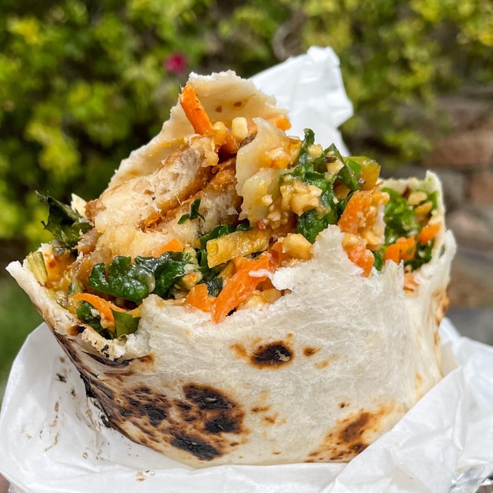 photo of Green New American Vegetarian Peanut Chicken Garden Burrito shared by @alleycatz on  08 Sep 2023 - review