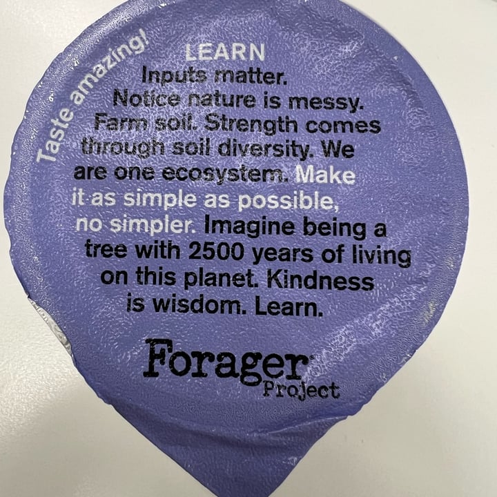photo of Forager Project Blueberry Cashewmilk Yogurt shared by @chefchrissy68 on  15 Sep 2025 - review