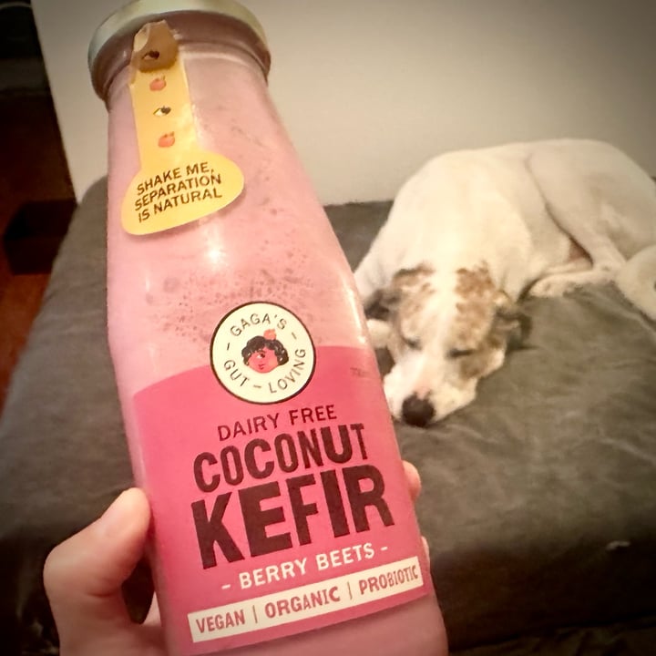 photo of Gaga’s Gut Loving dairy free coconut kefir shared by @itsjustmel on  19 Sep 2025 - review