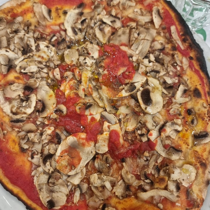 photo of Ivo a Trastevere funghi (no mozzarella) shared by @katiamarl on  10 Apr 2024 - review