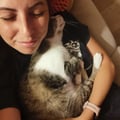 @lindatheweirda profile image