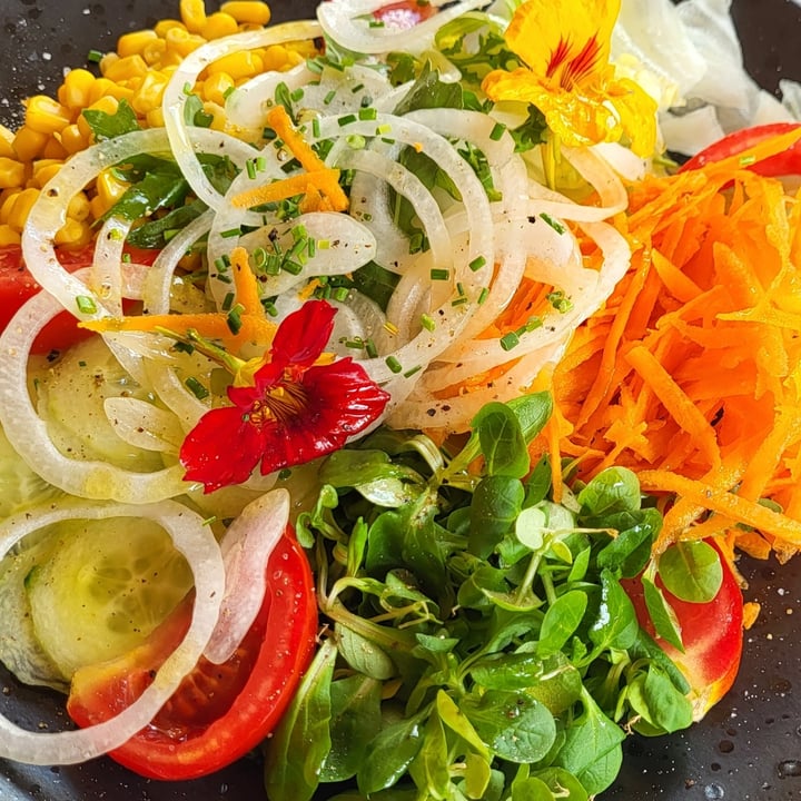 photo of Das Stübele Insalata shared by @lindasunny on  21 Aug 2024 - review
