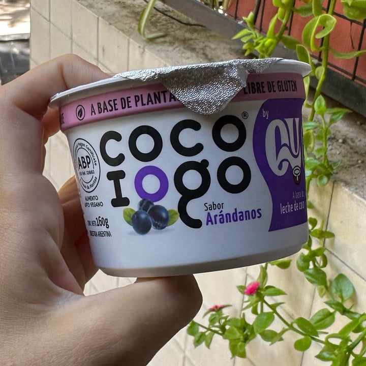 photo of Coco iogo yogur arandanos shared by @nicolerenou on  19 Mar 2024 - review
