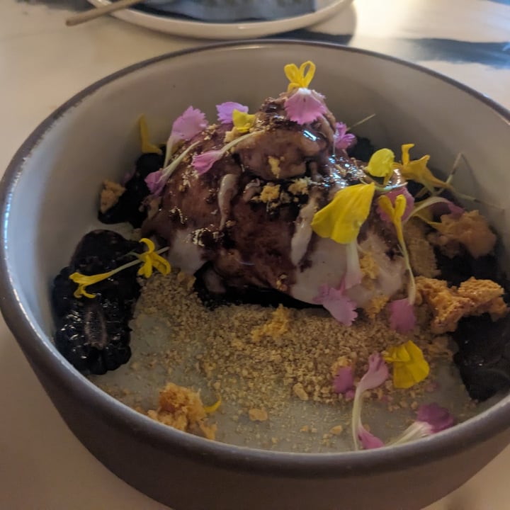 photo of Secco Earl Grey Berry Sorbet shared by @rcrw88 on  09 May 2024 - review