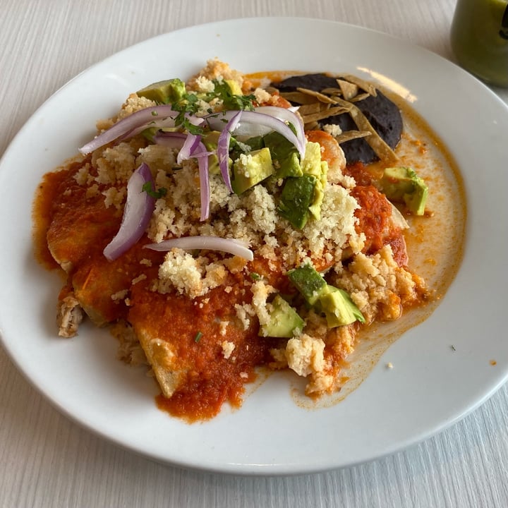 photo of Giornale Lindavista Enchiladas De Deshebrada shared by @mjulius on  30 Mar 2024 - review