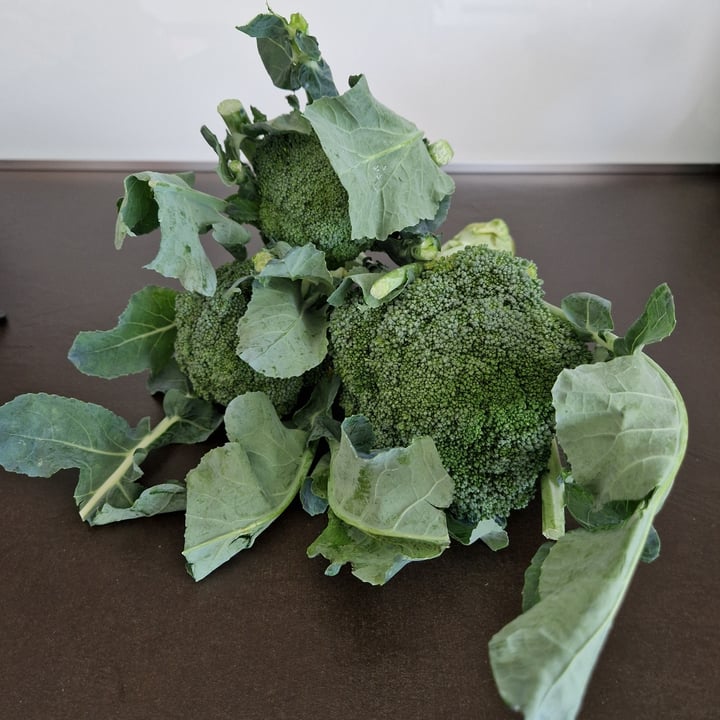 photo of Il Futteto del Palù Broccoli shared by @mara55 on  03 Oct 2025 - review