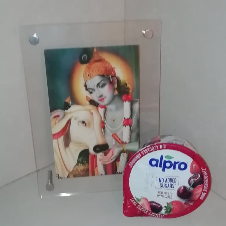 photo of Alpro Red Fruits With Dates (No Added Sugars) shared by @miocillo0 on  24 Aug 2023 - review