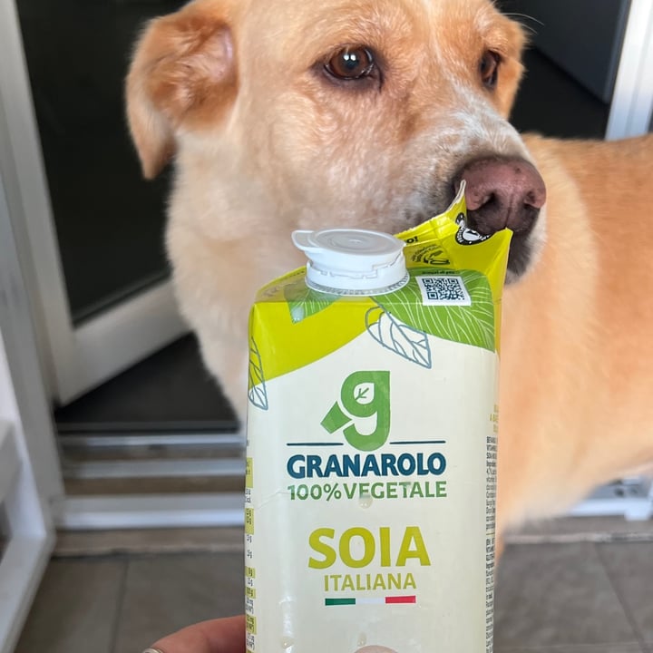 photo of Granarolo Latte soia shared by @nicole- on  15 Oct 2024 - review