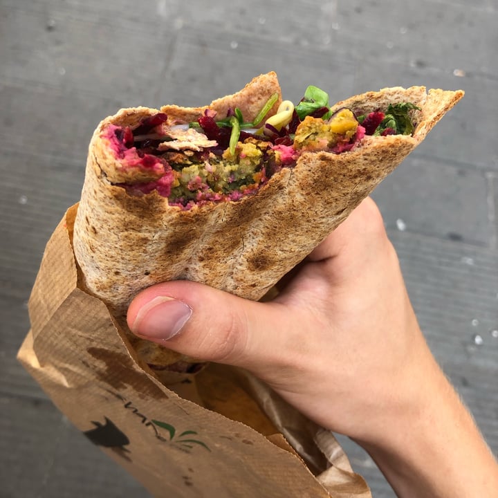 photo of Shake Cafè falafel wrap shared by @grisoucat on  12 Sep 2023 - review