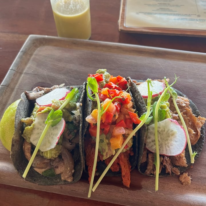 photo of La Hoja Verde Tacos - Daily Special shared by @corriendofeliz on  05 Apr 2024 - review