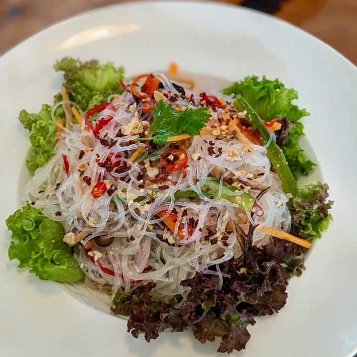 photo of Clover Plant Based Kitchen and Bar Thai Style Glass Noodle Salad shared by @xinru-t on  25 Sep 2023 - review