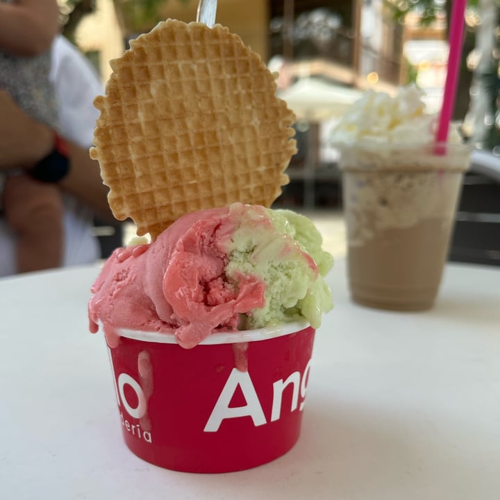 photo of Heladería Angelo helado De Sandía Y Manzana Verde shared by @albibus on  14 Jul 2024 - review