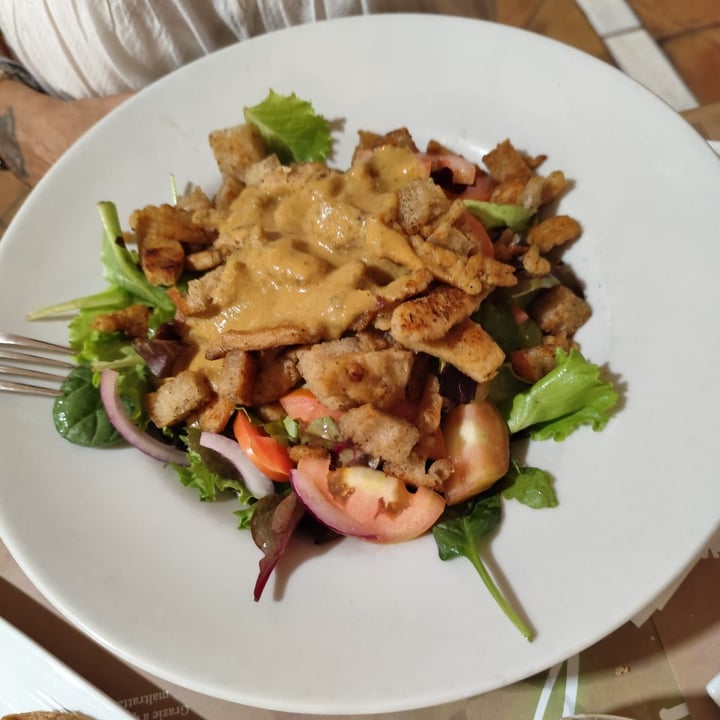 photo of Vitto Pitagorico Caesar Salad shared by @claudiasquillante on  13 Aug 2025 - review
