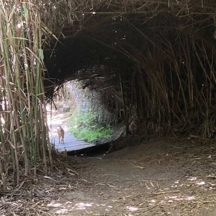 photo of Valle y Vega SCA Chirimoya shared by @sanleeping on  24 Sep 2025 - review