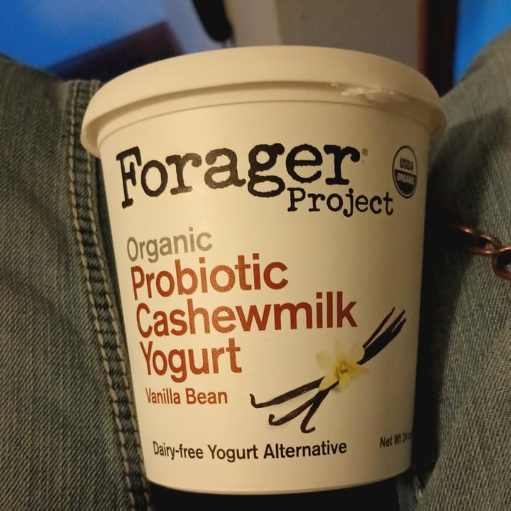 photo of Forager Project Organic Probiotic Cashewmilk Yogurt Vanilla Bean shared by @quadantics on  24 Jun 2024 - review