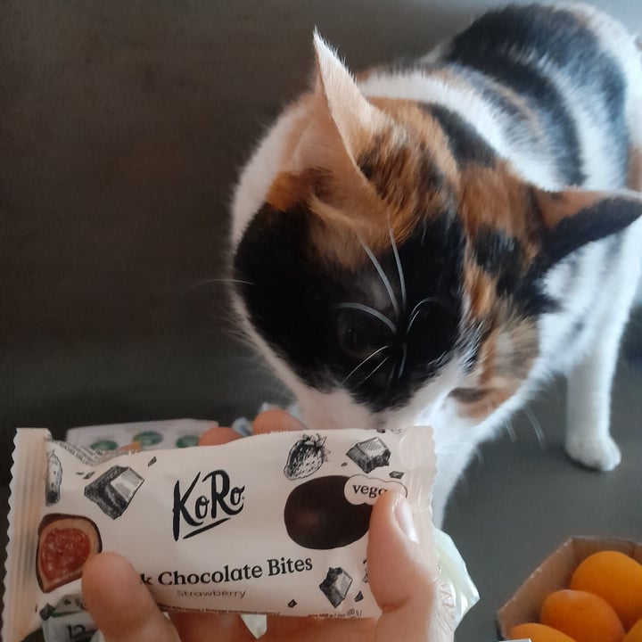 photo of Koro Dark Chocolate Bites Strawberry shared by @auramala on  22 Jul 2025 - review