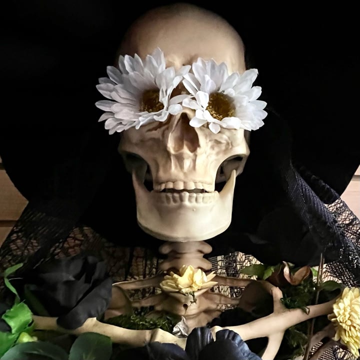 photo of Memento Mori Cafe Pumpkin Horror-chata Skull Cake shared by @pdxveg on  04 Oct 2025 - review