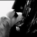 @queenofdarkness profile image