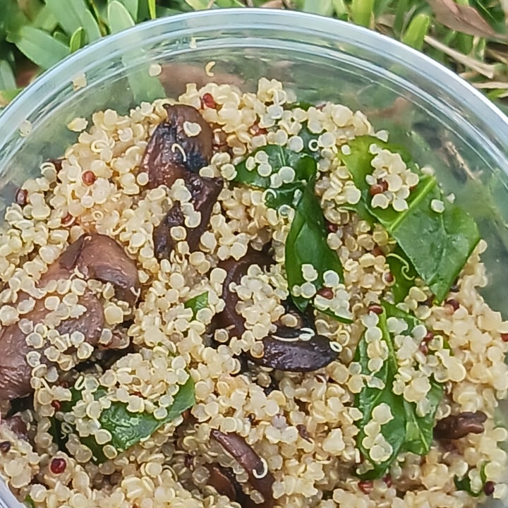 photo of Bagels With Deli Mushroom and Spinach Quinoa shared by @heartartichokehearts on  01 May 2024 - review