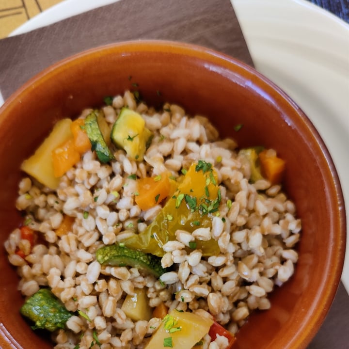 photo of Terra & Arte Farro Con Verdure shared by @alessiavik on  25 Apr 2025 - review