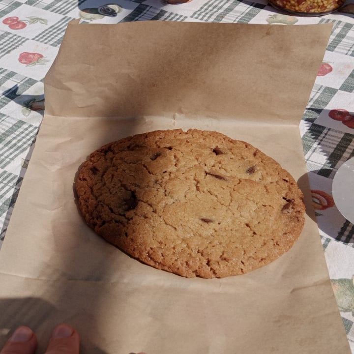 photo of Toghma vegan chocolate cookie shared by @francescaglad7 on  30 Mar 2024 - review