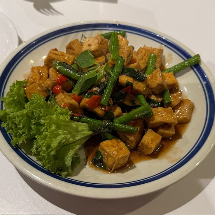 photo of ThaiExpress - Raffles City Stir-fried Tofu With Thai Basil shared by @belovedtoad09 on  10 Oct 2025 - review