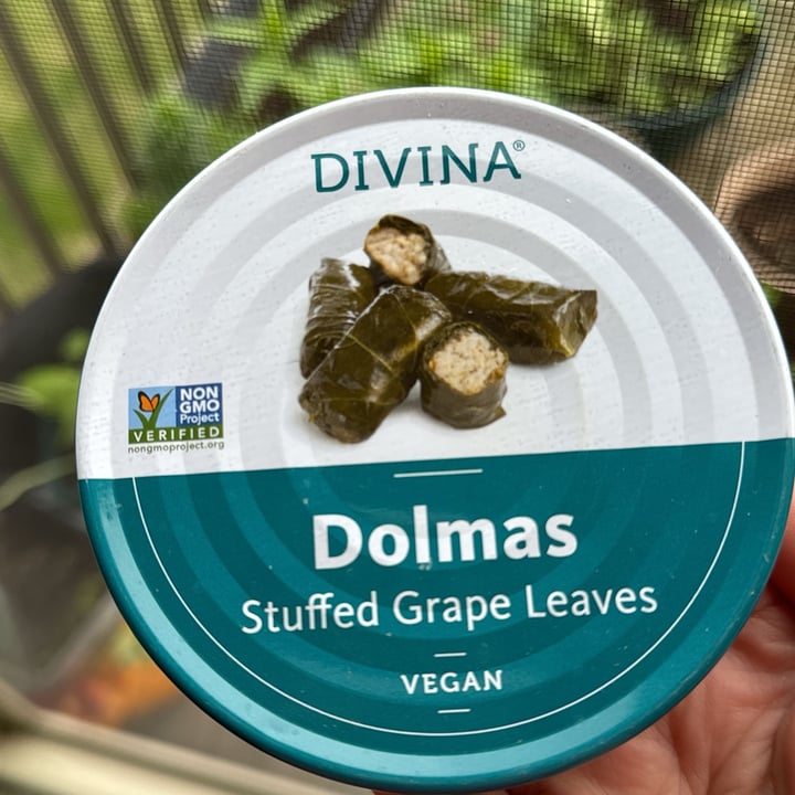 photo of Divina Dolmas - Stuffed Grape Leaves shared by @regina- on  29 Apr 2024 - review