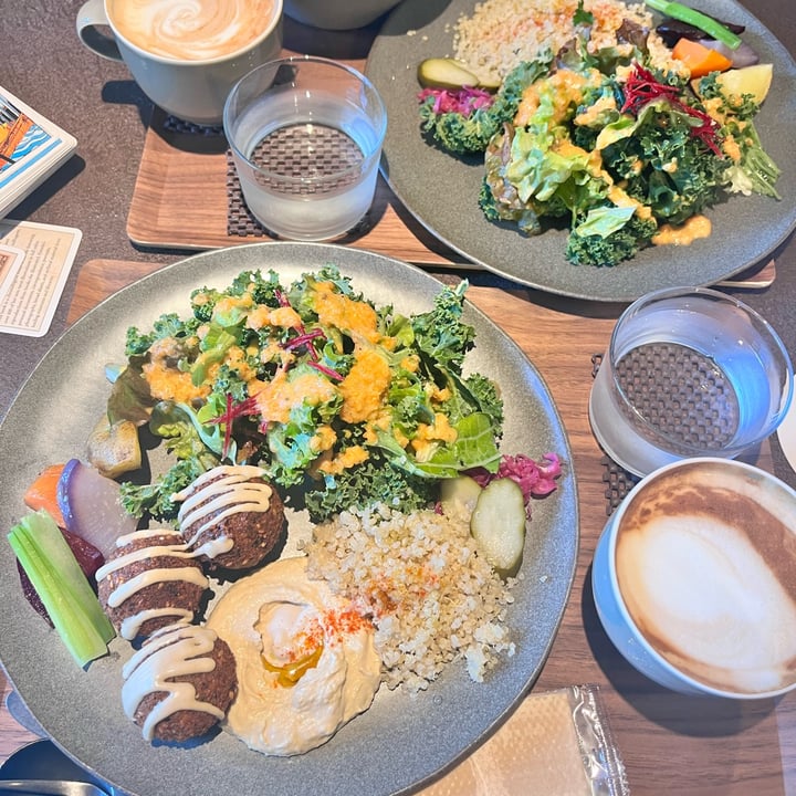 photo of CAFÉ Tarot Falafel plate shared by @itsrinokt12 on  17 Dec 2023 - review