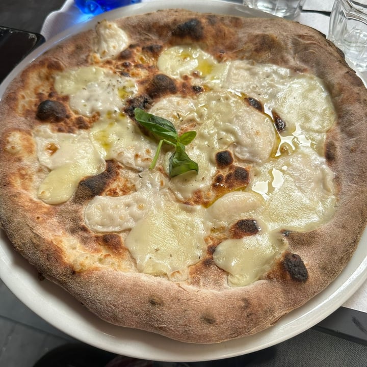 photo of La Taverna di Pulcinella Pizza 4 formaggie (vegan) shared by @eveewolf on  30 Mar 2024 - review