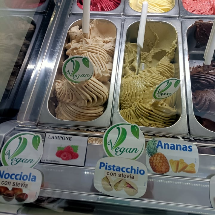 photo of La Mongolfiera gelato al pistacchio e alla nocciola shared by @olli71 on  01 Apr 2024 - review