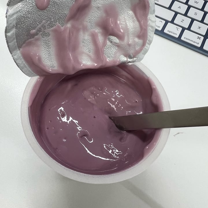 photo of Forager Project Blueberry Cashewmilk Yogurt shared by @chefchrissy68 on  15 Sep 2025 - review