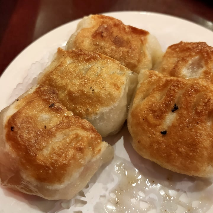 photo of Bodhi Kosher Vegetarian Restaurant Pan fried dumplings shared by @moonshade on  15 Sep 2023 - review