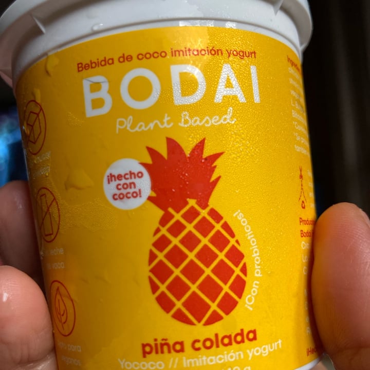 photo of Bodai Jogurth De Piña shared by @lalyveg on  10 May 2024 - review