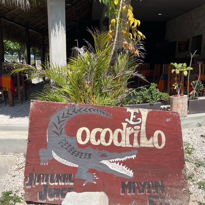 photo of El Cocodrilo Empanada Vegan shared by @corriendofeliz on  06 Apr 2024 - review