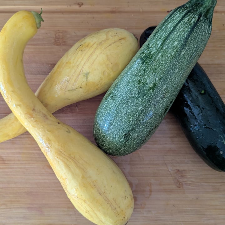 photo of Red Fire Farm Summer Squash shared by @twistedbakery on  10 Aug 2025 - review