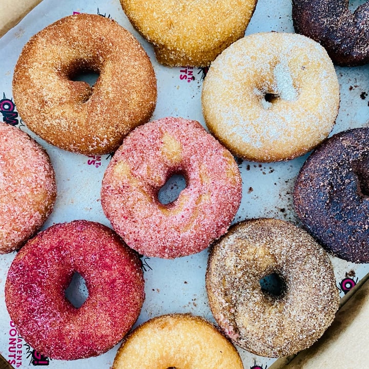 photo of OMG! Decadent Donuts Vegan Gluten-Free Donuts 🍩 shared by @olympiasplate on  28 May 2025 - review