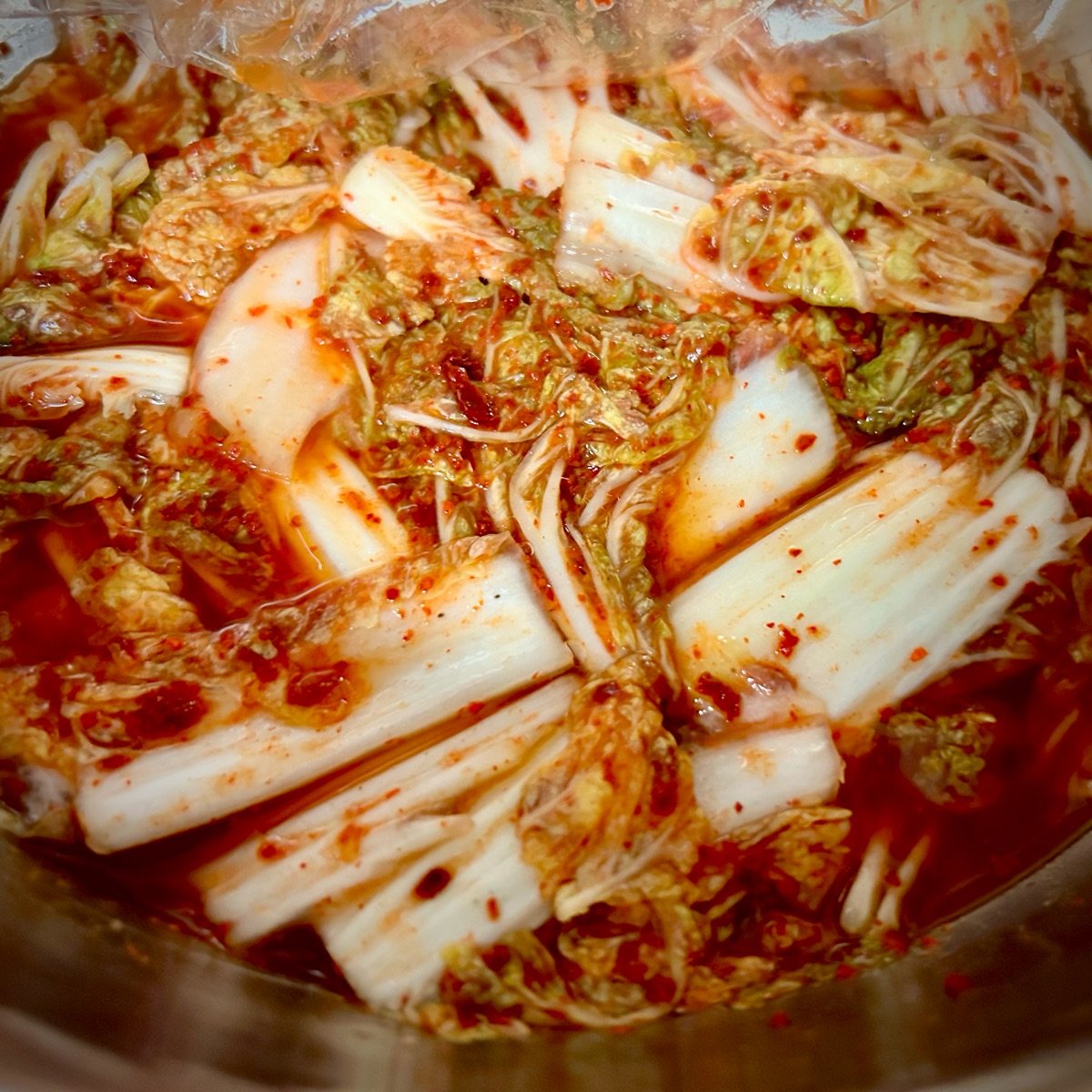 kimchi @home kit from Sempio - Vegan Product Reviews & Ratings | abillion