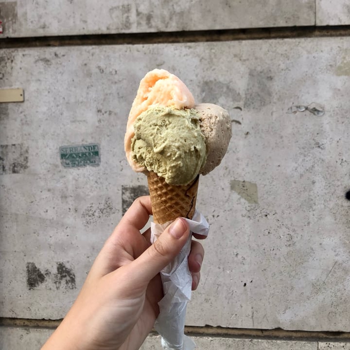 photo of Gelateria Artigianale Gelo' Gelato alla nocciola e al pistacchio shared by @psfrancesca on  26 Jul 2024 - review