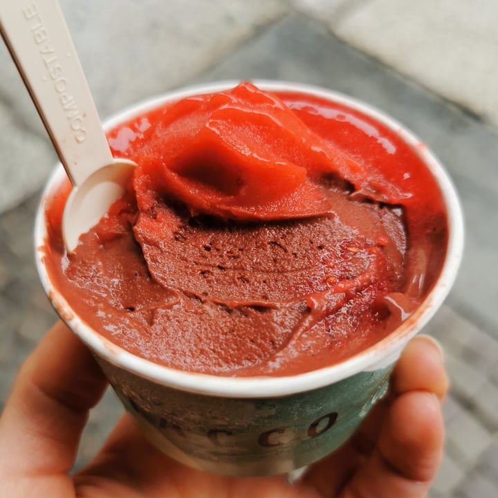 photo of Gelateria Ciacco Gelato sapori di terra shared by @posataverde on  07 May 2024 - review