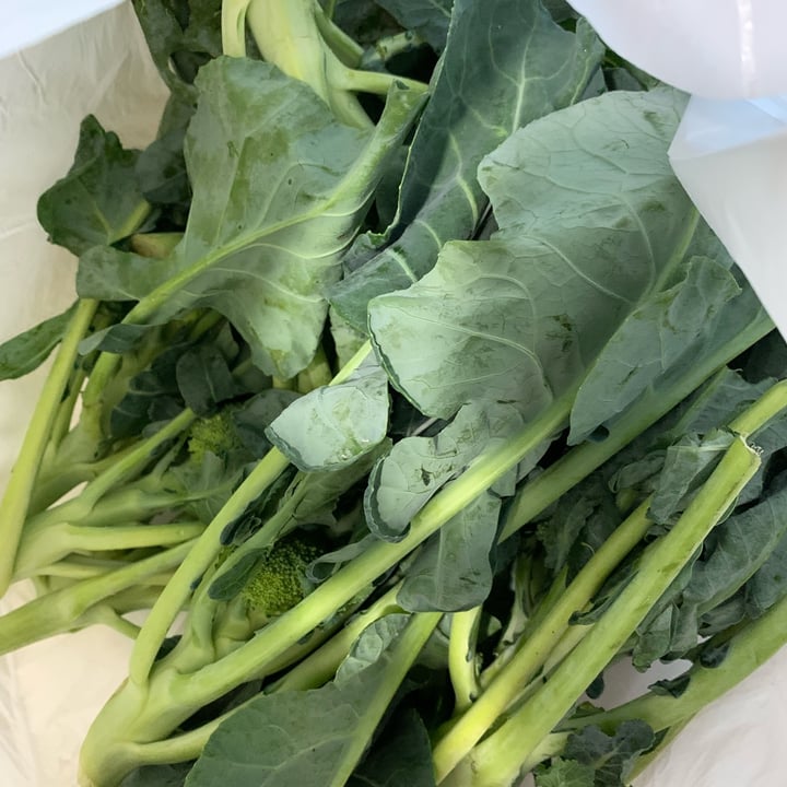 photo of Mercato Comunale Coperto foglie di broccoletti shared by @coloratantonella on  21 Nov 2024 - review