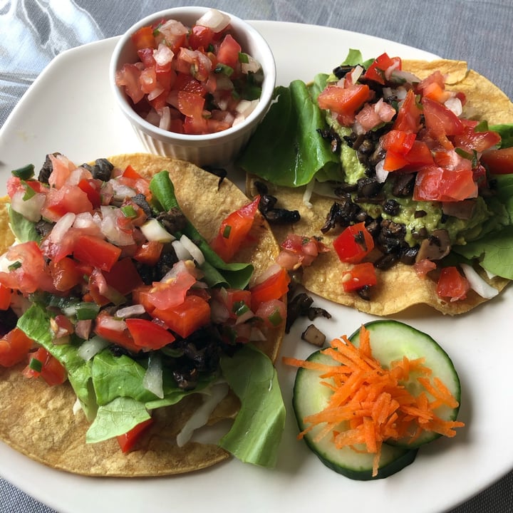 photo of Fountain Head Health Store Vegan Tacos shared by @sueprozak on  17 Apr 2024 - review