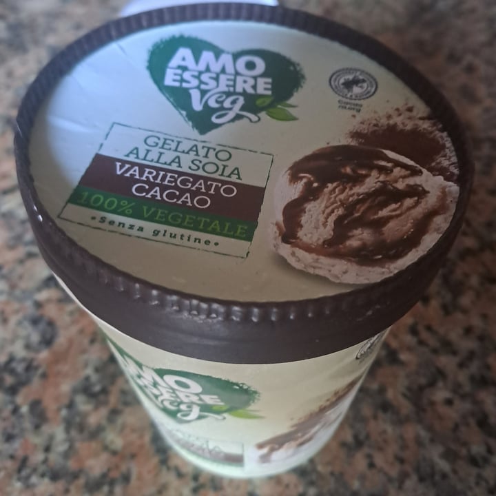 photo of Amo Essere Veg gelato alla soia variegato al cacao shared by @vegantizi on  18 Nov 2023 - review