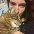 @v-egan profile image