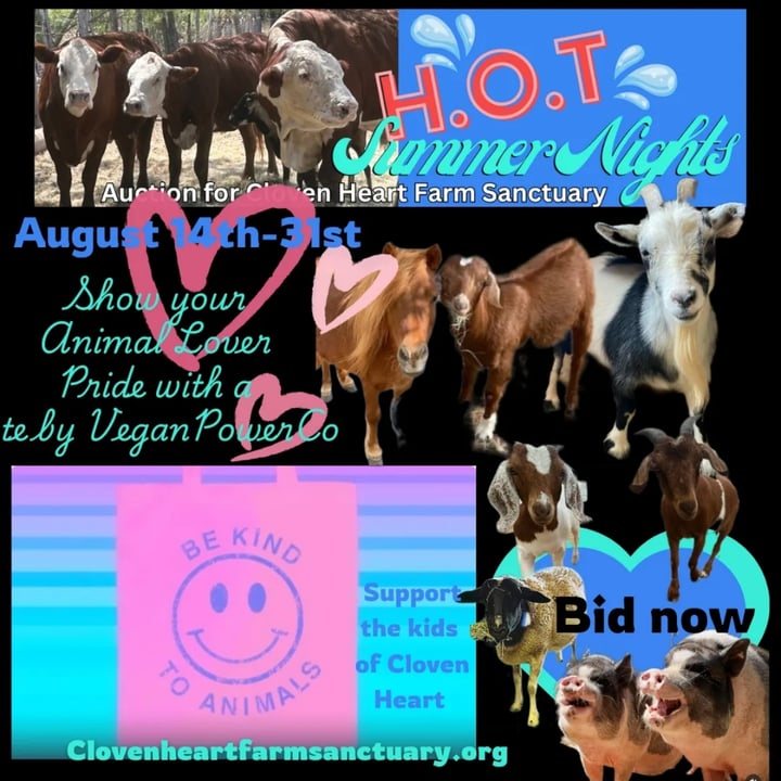 photo shared by @starladear33 on  30 Aug 2024 - post